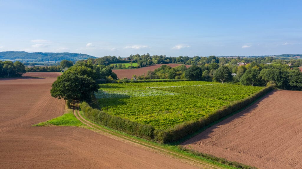 aerial view by drone astley vineyard worcestershire