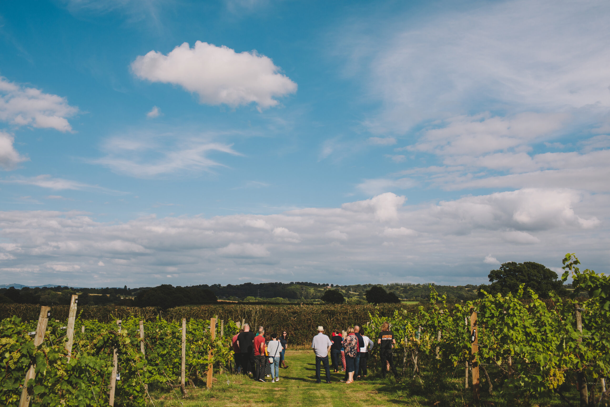 Astley vineyard hotsell