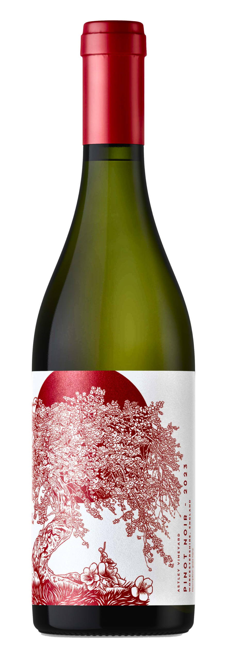 Pinot Noir 2025